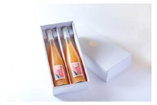 あら川の桃 60％ 果汁入り ドリンク 500ml × 2本 入り ギフトセット【mao12】
