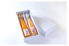 きわみ みかんジュース ／ あら川の桃 ドリンク 500ml 合計 2本 入り アソートセット【mao15】