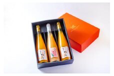 きわみ みかんジュース 2本 ／ あら川の桃 ドリンク 1本 500ml 合計 3本 入り アソートセット【mao16】