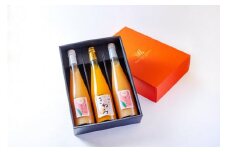 きわみ みかんジュース 1本 ／ あら川の桃 ドリンク 2本 500ml 合計 3本 入り アソートセット【mao17】