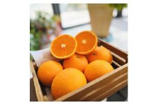 有田育ちの 完熟 清見 オレンジ（ご家庭用）約3kg［先行予約］［MS32］