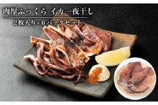 肉厚ふっくら イカ一夜干し２枚入り×６パックセット