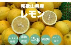  【産地直送】和歌山県産 レモン 2kg 家庭用 【US44】