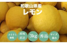  【産地直送】和歌山県産 レモン 3kg サイズ混合 【US45】