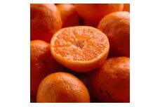 ＜1月より発送＞ 家庭用 完熟 有田みかん 5kg+150g（傷み補償分） 訳あり わけあり 光センサー選果