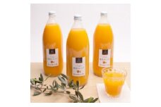 無添加 きよみ 100% ストレートジュース 1000ml×3本