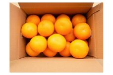 和歌山由良町産 はっさく 約5kg 秀品 サイズおまかせ (Ｌまたは２Ｌいずれかお届け) 【SL3】