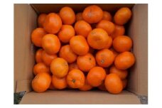 和歌山由良みかん　約１０kg(訳あり・ご家庭用)　サイズおまかせ(Ｌ・М・Ｓ)［SL50］