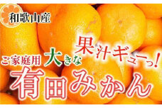 家庭用 大きな有田みかん2.5kg+250g（傷み補償分）［2025年11月中旬から2026年1月下旬頃順次発送予定］［IKE222］
