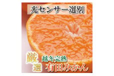 ＜1月中頃より発送＞ 厳選 越冬完熟みかん 5kg+150g（傷み補償分） ハウスみかん 光センサー選果［IKE194］