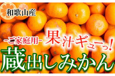 家庭用 蔵出しみかん5kg+250g（傷み補償分）［2026年1月中旬から2026年2月下旬頃順次発送予定］［IKE242］