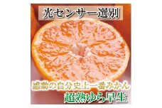 ＜11月より発送＞ 厳選 超熟 有田みかん 3kg+90g（傷み補償分）［IKE175］