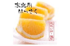 ［先行予約］家庭用 はっさく5kg+250g（傷み補償分）【八朔みかん】【訳あり・わけあり】［IKE29］