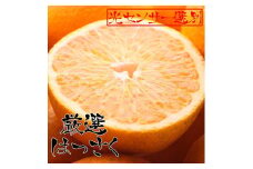 ［先行予約］厳選 はっさく5kg+250g（傷み補償分）［八朔みかん］［光センサー選別］［IKE26］