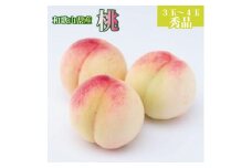 和歌山県産 桃 3玉～4玉 約1kg 秀品 2025年7月上旬から2025年8月下旬発送予定 【US54】