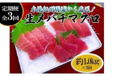 【定期便全3回】生まぐろの本場紀州勝浦から直送！　生メバチマグロ 約1kg（1カ月に1回お届け）（全3ヵ月）