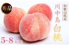 和歌山県産 川中島白桃 5～8玉入り 秀品 先行予約［2025年7月下旬以降発送］［MG7］