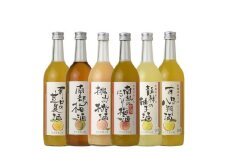 (A003)和歌のめぐみ酒【C】セット720ml×6種　世界一統