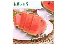 【厳選】小玉すいか『ひとりじめ７』Ｍサイズ / 2玉入り【農家直送】【先行予約】【和歌山県産】