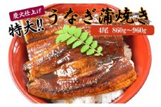 うなぎ蒲焼き4尾入り 860g～960g（蒲焼たれ8袋 山椒付き）［KS7］