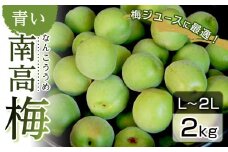 青い南高梅 2kg  L〜2L寸 紀州特産 梅酒 梅ジュースに最適！ 【先行予約：2025年6月1日以降順次発送】