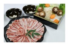 高級食材！F１イノブタ　極上お鍋セット