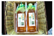【先行予約】自家製 梅シロップ 500ml×2本入り