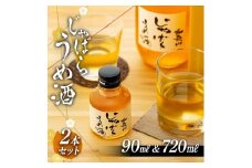 プレミア和歌山認定品「和歌山 じゃばら うめ酒」720mlと小瓶のセット