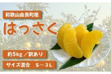 和歌山由良町産 はっさく 約5kg サイズ混合 (S～３L)【 訳あり 御家庭用 】 【SL40】