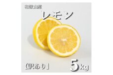 和歌山産 レモン 5kg  【訳あり】 【US1】