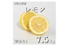 和歌山産 レモン 7.5kg  【訳あり】 【US2】
