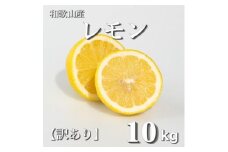 和歌山産 レモン 10kg  【訳あり】 【US3】