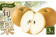 和歌山県産 旬の梨 3玉（4Lサイズ） 【2024年8月中旬以降順次発送】【MG18】