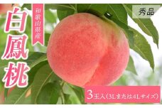 【大玉限定】和歌山県産 白鳳 《秀品》 3玉入り（3Lまたは4Lサイズ）【7月上旬より発送】【MG27】