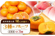 紀州和歌山産旬のフルーツセット（桃・平核無柿・みかん）【UT60】