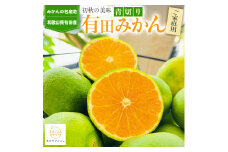 ［先行予約］有田育ちのご家庭用青切り有田みかん5kg ［2025年9月中旬より発送］［訳あり］［サイズ混合］［MS18］