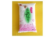 和歌山県産 米 キヌヒカリ 10kg  (2023年産)【SL17】
