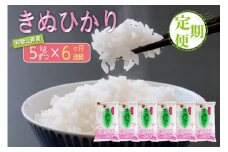 【お米の定期便／全6回】和歌山県産 米 キヌヒカリ30kg (5kg×6) 2024年産【SL21】