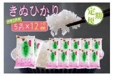 【お米の定期便／全12回】和歌山県産 米 キヌヒカリ 60kg(5kg×12) 2024年産【SL22】
