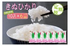 【お米の定期便／全6回】和歌山県産 米 キヌヒカリ 60kg(10kg×6) 2024年産【SL23】