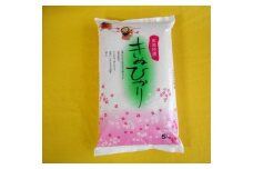 ［先行受付］和歌山県産キヌヒカリ 5kg（2024年産）［SL27］