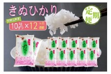 【お米の定期便／全12回】和歌山県産キヌヒカリ 120kg(10kg×12) 2024年産【SL24】