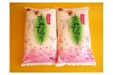 米 キヌヒカリ 20kg(10kg×2) 和歌山県産 【2023年産】【SL26】