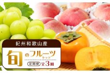 【7・8・10月 全3回】紀州和歌山産旬のフルーツセット（桃・シャイン・ひらたねなし柿）定期便 【魚鶴商店】【UT66】