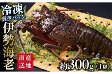 冷凍 伊勢海老1尾（約300ｇ前後）真空パック 南紀黒潮イセエビ 通年発送｜期間限定 漁師直送 海鮮 海老 とれたて 人気