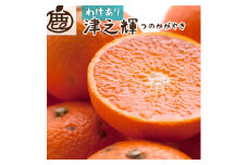 ＜2月より発送＞ 家庭用 津之輝3kg+90g（傷み補償分）つのかがやき 訳あり わけあり 光センサー選別［IKE59］