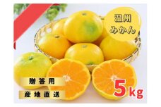 ゆら早生みかん 贈答用特選 5kg箱入【WS1】