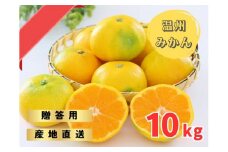 ゆら早生みかん 贈答用特選 10kg箱入【WS2】