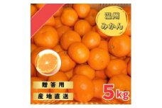 宮川早生みかん 贈答用特選 5kg箱入【WS3】