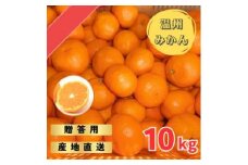 宮川早生みかん 贈答用特選 10kg箱入【WS4】